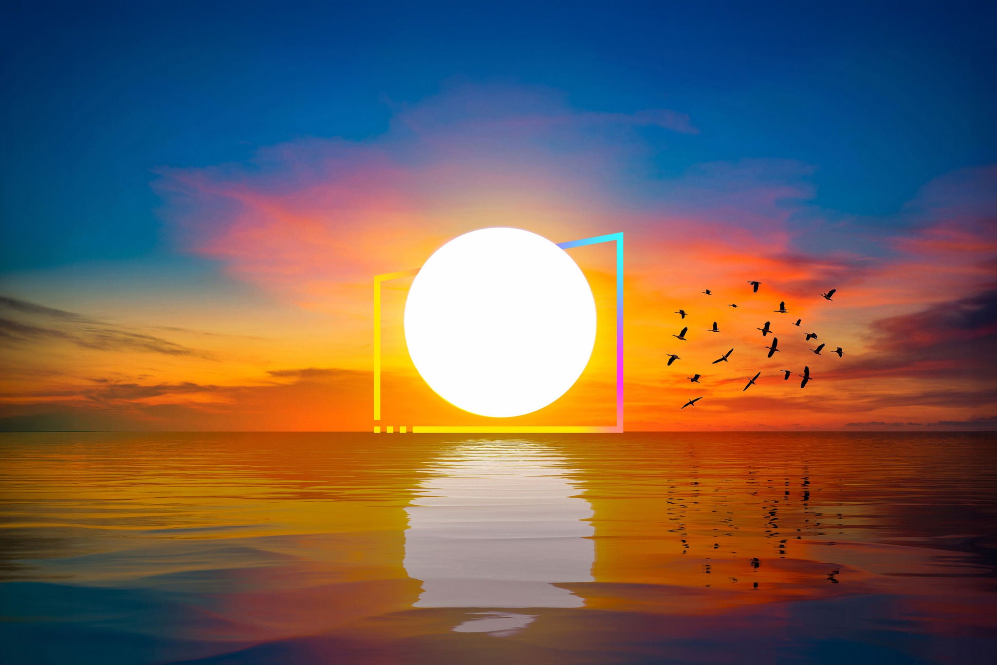 Grande sol ao amanhecer no mar com belos reflexos e bandos de pássaros em voo